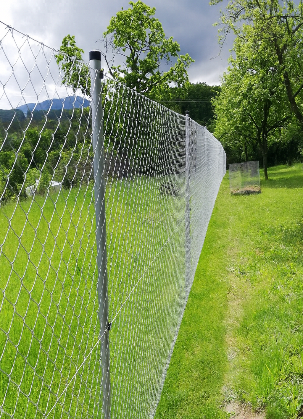 ChatGPT Image 5. 12. 2025, 12_58_16